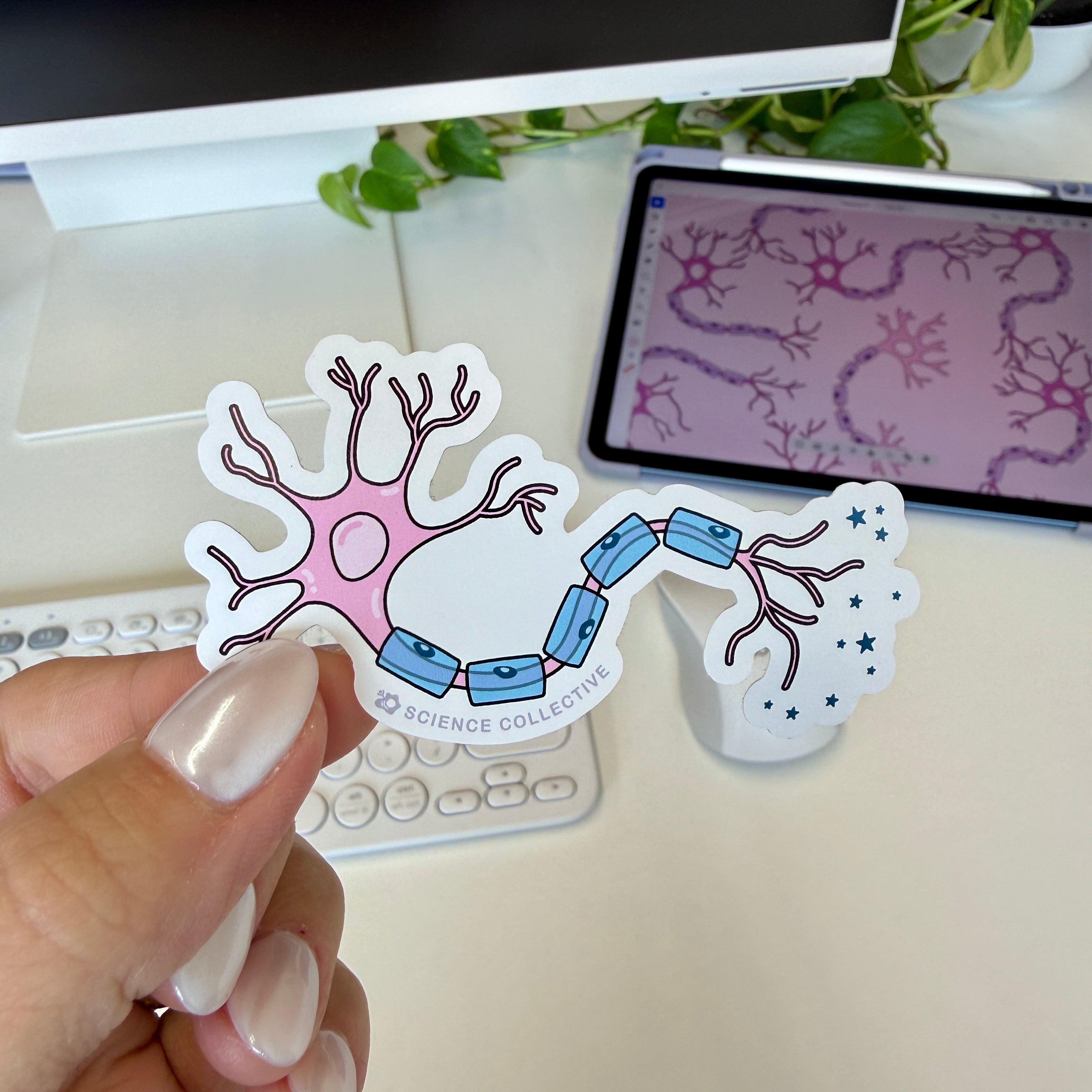Cute neuroscience sticker from science collective featuring a pink neuron