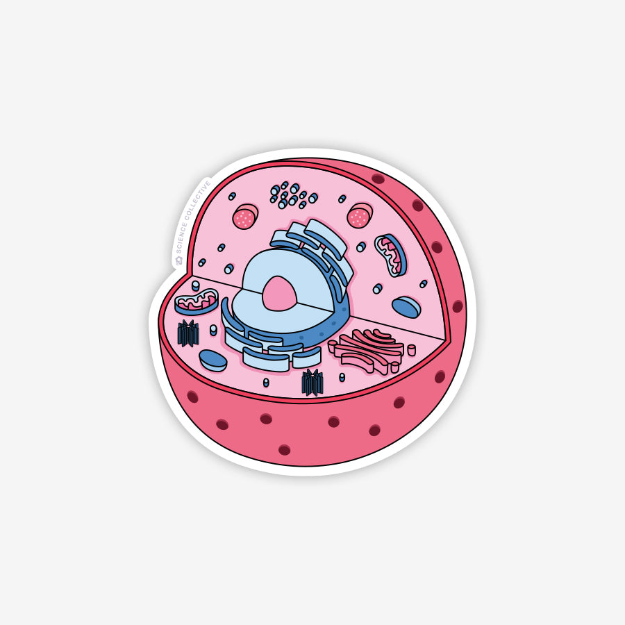 Animal Cell Sticker