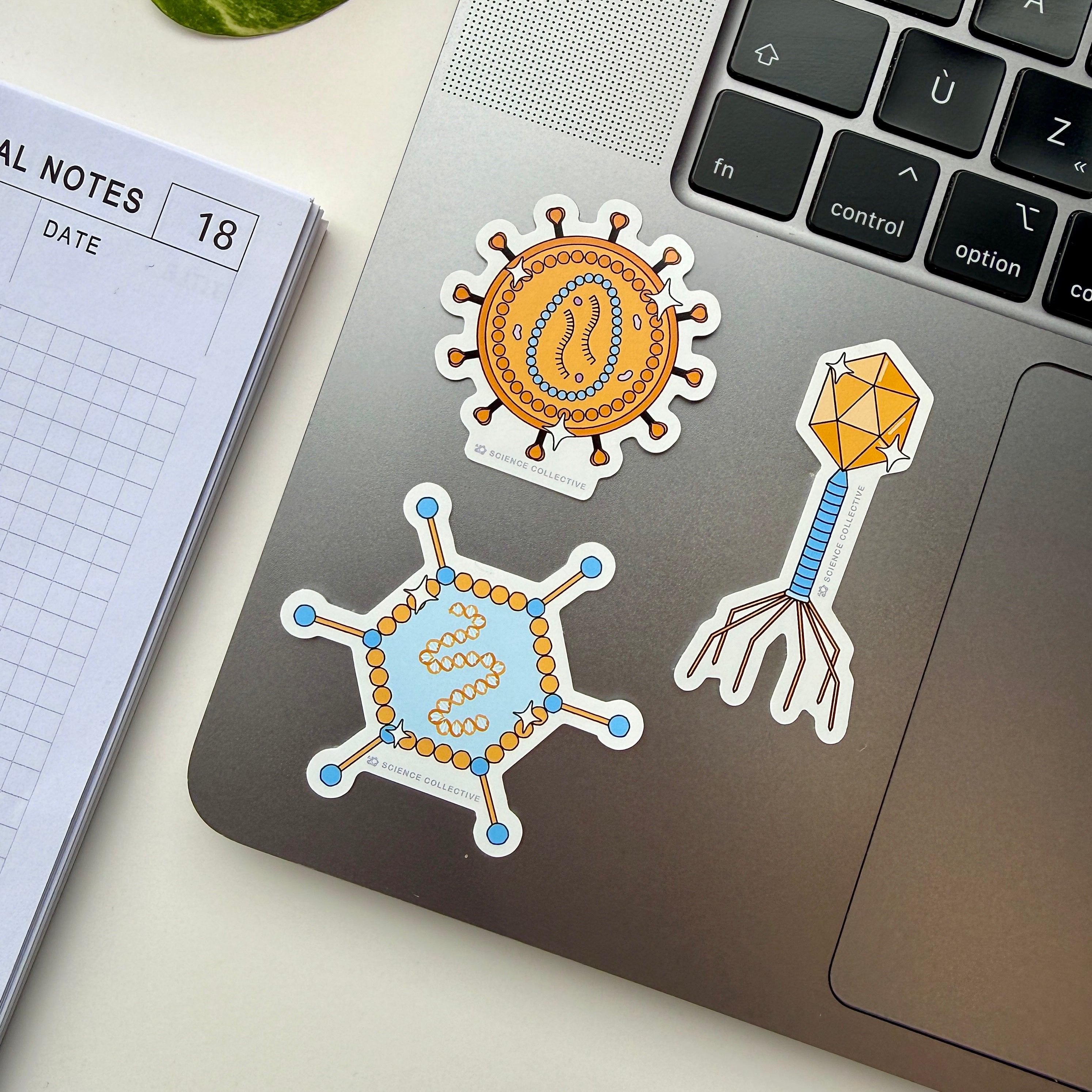 Lentivirus sticker, adenovirus sticker, bacteriophage sticker