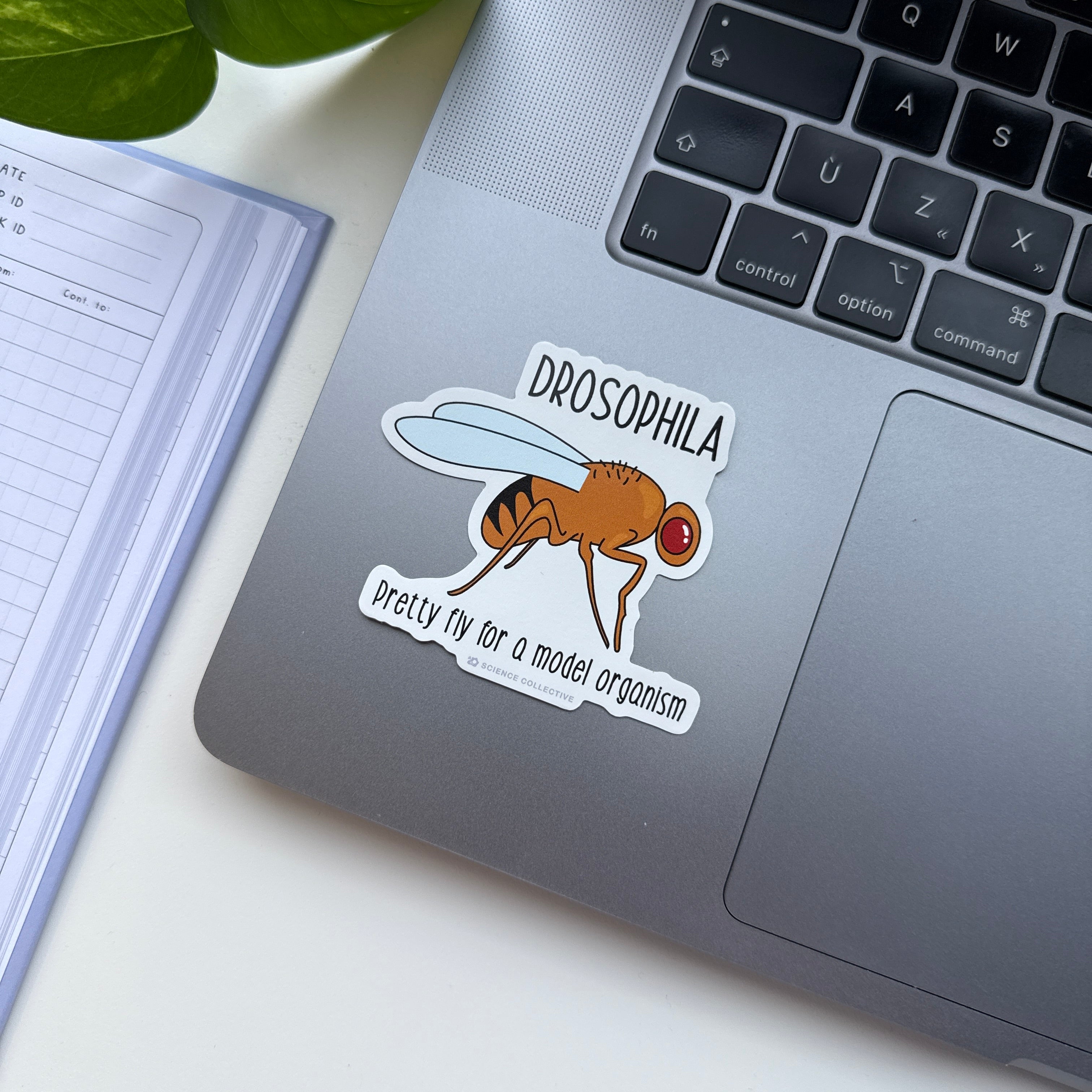 Cell biology stickers