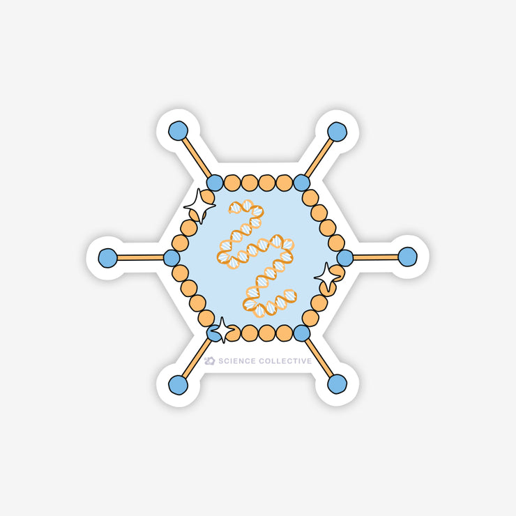 Products – Science Collective
