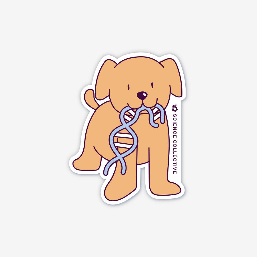 Dog + DNA Vinyl Sticker | Science Collective