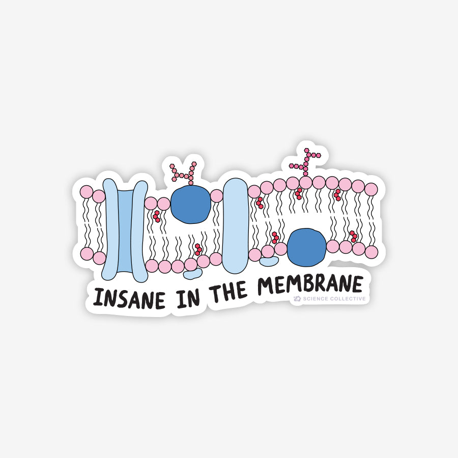 Plasma Membrane Sticker